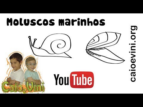 Moluscos marinhos