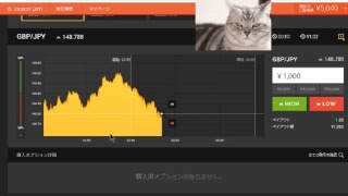 【FX】1万円から始める為替取引【BO】2