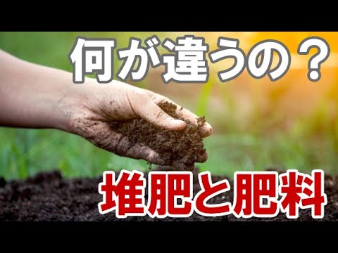 堆肥が良いかどうかはどうやってわかりますか？品質を保証する5つの分析方法  庭園