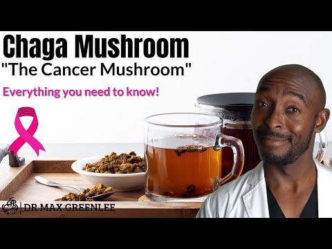 What Is The Powerful Chaga Mushroom And Why You Should Care?