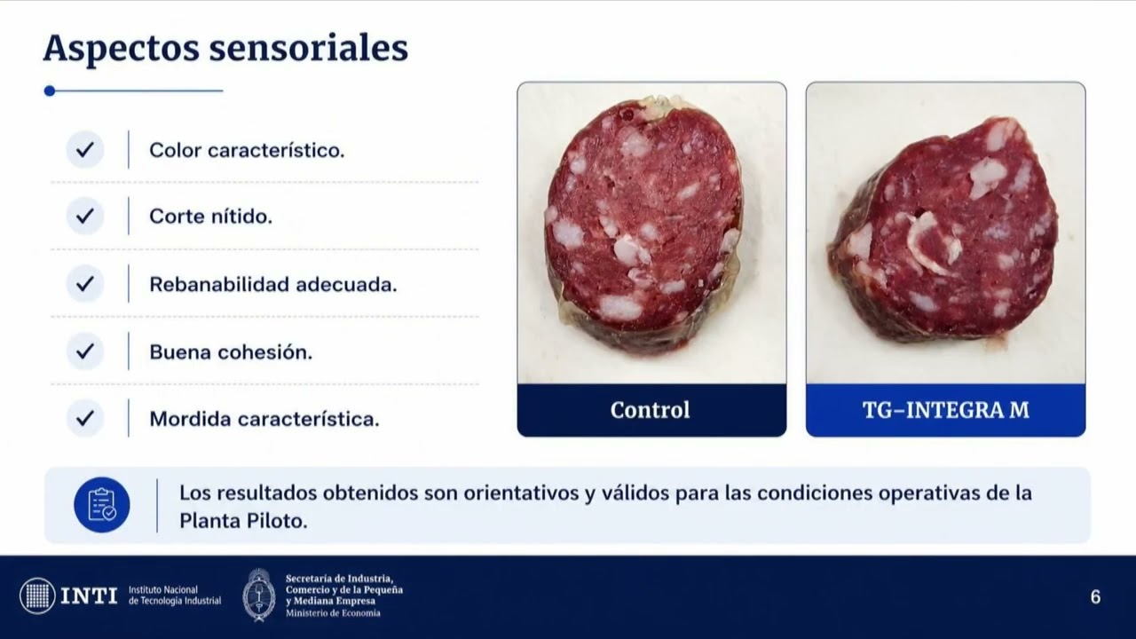 Investigación Industria Cárnica INTI – Lic. Estela Martínez Espinosa