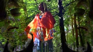 The Blow Monkeys - Feels Like A New Morning (Official Video)