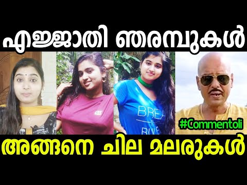 ഇവറ്റകളെ കൊണ്ട് തോറ്റല്ലോ ! Troll Video | Negative Comments Malayalam | Anjitha Nair