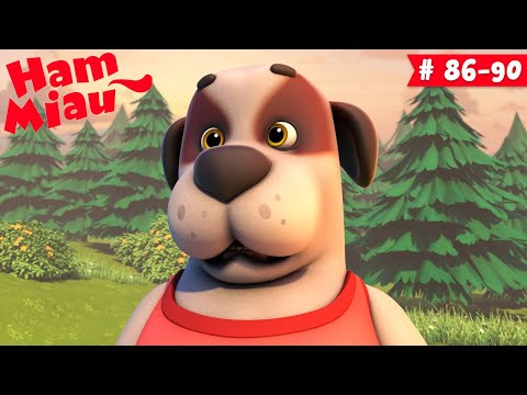 Ham Miau 🐶 ep. 86-90 🐱 Desene pentru copii - HeyKids