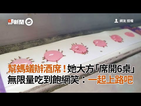 螞蟻辦桌