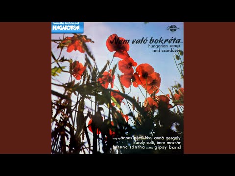 Az ökör a földet...