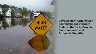 Factors Contributing to Flooding and Water Pollution
