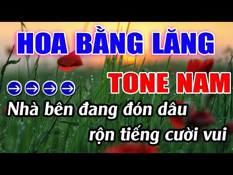 Hoa Bằng Lăng Karaoke Tone Nam Karaoke Lâm Beat - Beat Mới