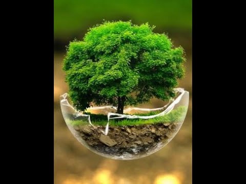 beautiful island beach- nature