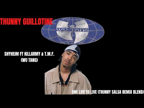 SHYHEIM FT KILLARMY & T.M.F. -  ONE LIFE TO LIFE  (THUNNY SALSA REMIX BLEND)