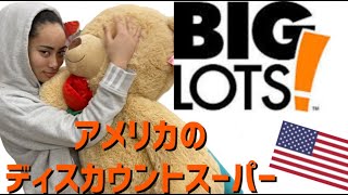 【カリフォルニアVlog】母娘で行くディスカウントストアー!【BIGLOTS】
