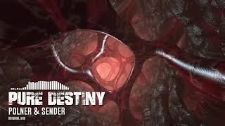 Polner & Sender - Pure Destiny (Original Mix)