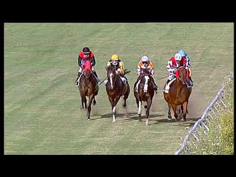 Galoppo 15/07/2020 - 2ª corsa