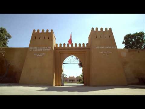 SOREC: Bienvenue dans l'univers du cheval