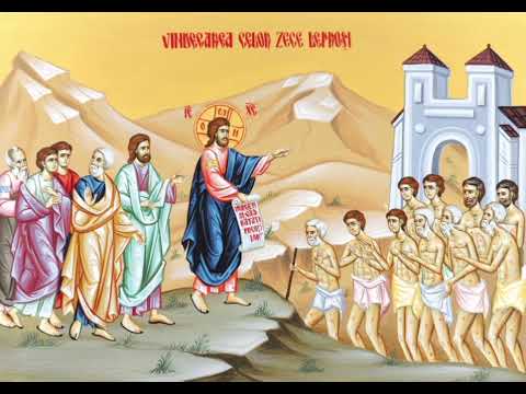 Pr. Antonie-Predică la Duminica a29-a după  Rusalii, a celor 10 leproși, Sf. Atanasie al Alexandriei