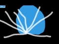 Columbia Pictures Sunburst Logo In 1976 1981