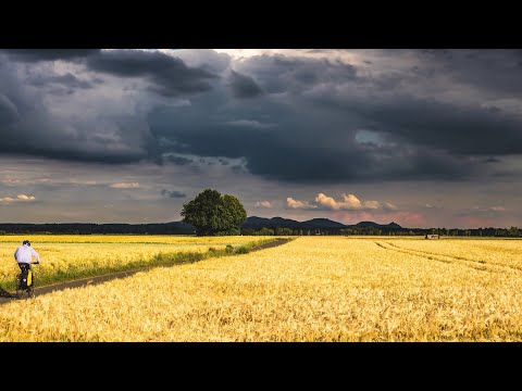 Wetter heute: Die aktuelle Vorhersage (16.08.2023)