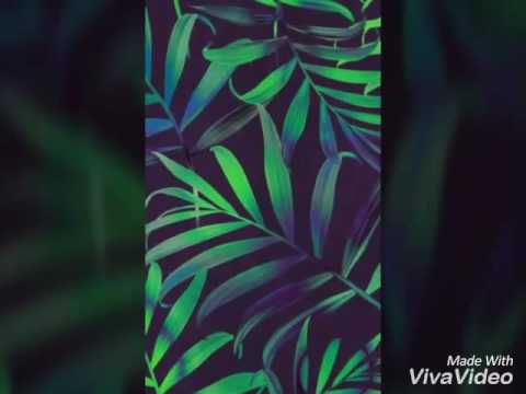 Tumbalatum Fest 2016/ Mc's: Mc Henri, Mc Brisola/ Dj PH DA VP/ GP MUSIC