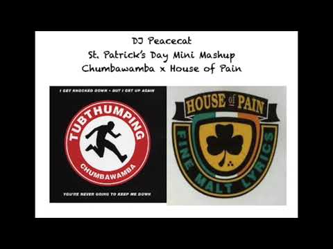 St. Patrick's Day Mini Mashup - Chumbawamba x House of Pain - Tubthumping/Jump Around - DJ Peacecat