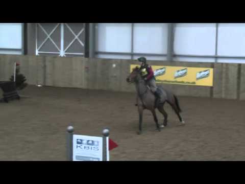 JAS 90 Hartpury 14/02/2016