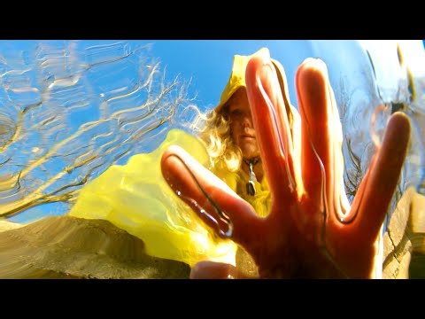 Murmur Tooth - A Fault in This Machine (Official Audio)