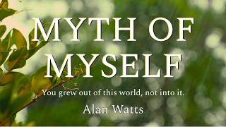 Alan Watts: You Are Not a Stranger in This World
