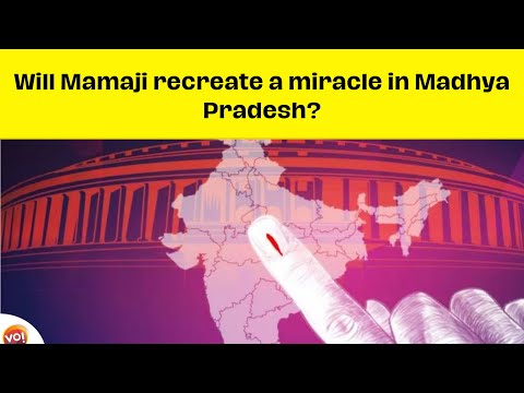 Will Mamaji recreate a miracle in Madhya Pradesh? | Vibes Of India