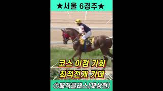 #shorts [10월8일 토요경마] ※삼복승 추천마※
