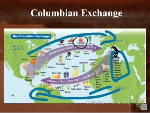 Latin American Review