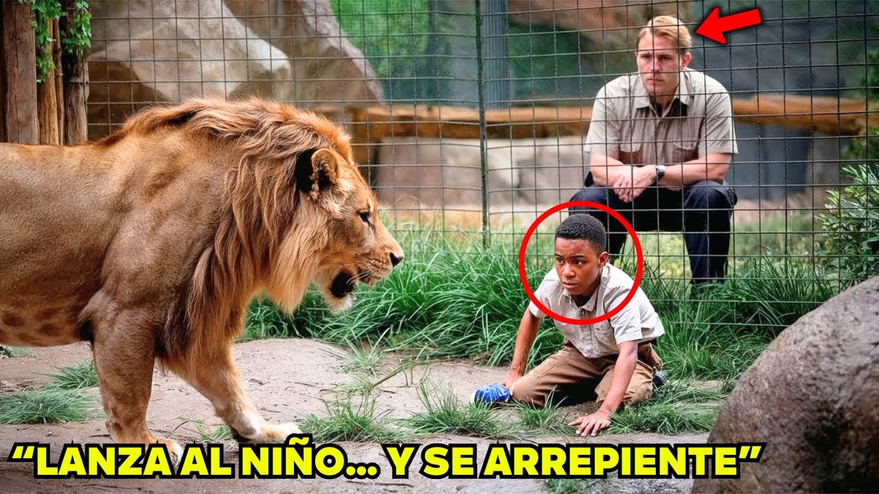 Empleado del Zoológico Lanza a Niño Negro con Leones, Pero lo que Pasó Después Sorprendió a Todos...