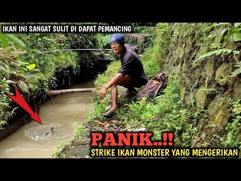 ASTAGA.!!! MANCING DI MUSIM BANJIR BANDANG || TIBA²  DI SERANG SEGEROMBOLAN IKAN MONSTER MENGERIKAN