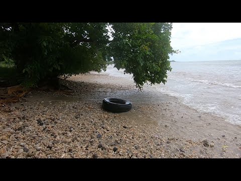 Walking cyclone belal POV Mauritius beach pick seashell ASMR