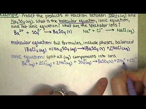 Chem121 Precipitation Reaction, Spectator Ions, and Net Ionic Equations (8.3)