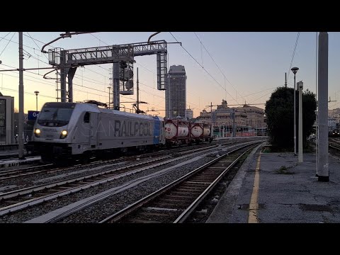 MRS 54333 Savona P. Doria - Rosignano