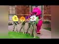 Barney Song What Makes A Flower So Pretty Barney S Good Day Good Night