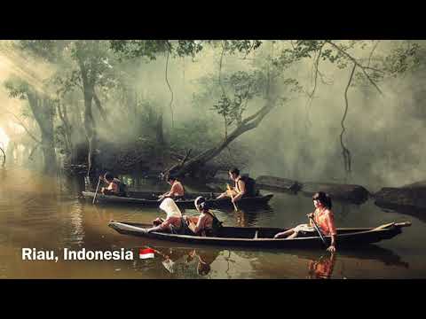 How children around the world get to school