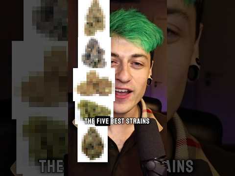 5 best strains of all time!