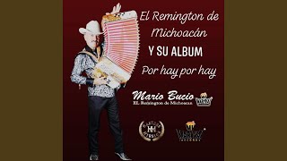 Con Dinero Baila el Perro