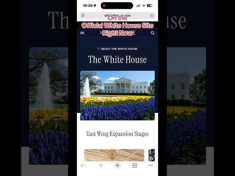 Disgraceful and Disgusting
