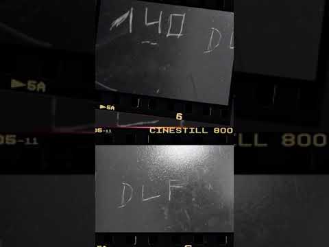 DLF LA R - Zinzin de l’espace #2