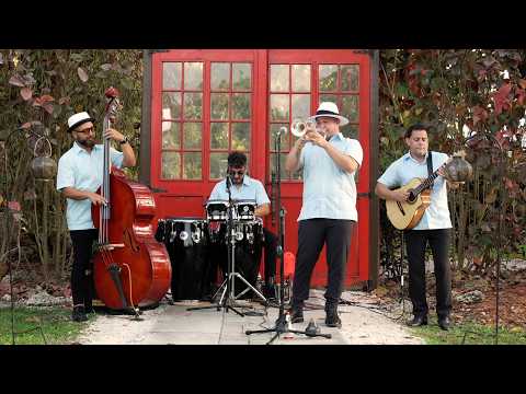 Promotional video thumbnail 1 for Havana's Brothers