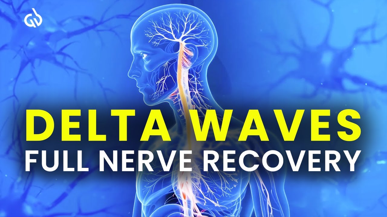 Deep Nervous System Recovery: Delta Waves for Vagus Nerve Stimulation