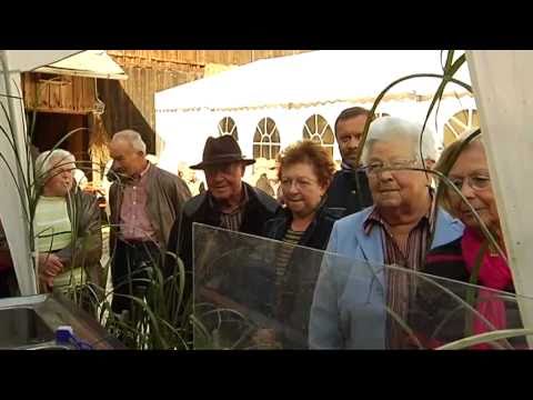 Kornthaner Kirchweih