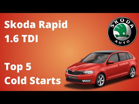 Skoda Rapid 1.6 TDI - TOP 5 COLD STARTS - No Problem At All