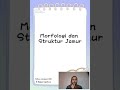 Morfologi Struktur Jamur Intan Januaristi X Keperawatan