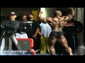 Bodybuilding Motivation HD Flex Wheeler Main Video