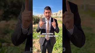 ט״ו בשבט!!🌳מתחת לאדמה הסוף? או תחילת הצמיחה?-מסר חשוב הרב ישראל לוי (קו ההלכה הספרדי) - התמונה מוצגת ישירות מתוך אתר האינטרנט יוטיוב. זכויות היוצרים בתמונה שייכות ליוצרה. קישור קרדיט למקור התוכן נמצא בתוך דף הסרטון