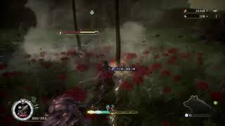 Beast of Reincarnation 2周目あそぶぞー 4