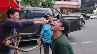 Dangerous Giant King Cobra Eating of Jakarta | Indonesian Street Food | Biggest King Cobra