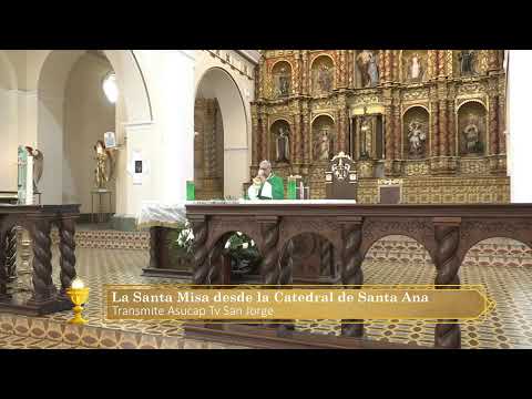 ENVIVO